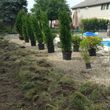 Photo #21: GREATSCAPE LANDSCAPING AND TREE SERVICES
