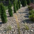 Photo #22: GREATSCAPE LANDSCAPING AND TREE SERVICES
