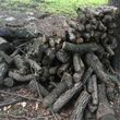Photo #2: Quality Firewood for sale