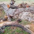 Photo #16: *Firewood*Mesquite*BBQ Wood*Wheel Barrow Load*