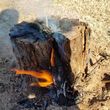 Photo #18: *Firewood*Mesquite*BBQ Wood*Wheel Barrow Load*