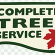 Photo #11: Bezares & Sons Lawn Care +Tree Service+Bush Trimming