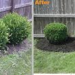 Photo #14: Bezares & Sons Lawn Care +Tree Service+Bush Trimming