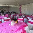 Photo #15: Party Rentals