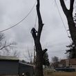 Photo #1: The climbers tree service