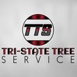 Photo #2: Tri-State Tree Service