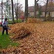 Photo #2: leaf clean up, brush clean up and hauled if needed