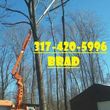 Photo #1: Tree Service & Aerial Work INSURED