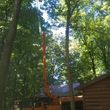 Photo #4: Tree Service & Aerial Work INSURED
