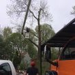 Photo #5: Tree Service & Aerial Work INSURED