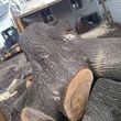 Photo #6: Tree Service & Aerial Work INSURED