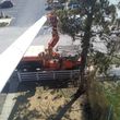 Photo #8: Tree Service & Aerial Work INSURED