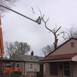 Photo #9: Tree Service & Aerial Work INSURED