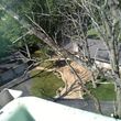 Photo #10: Tree Service & Aerial Work INSURED