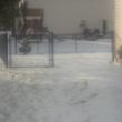Photo #5: Black vinyl chain link fence