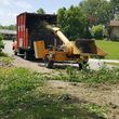 Photo #3: Affordable Tree Service Superior Results Tree Removal