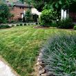 Photo #5: Organic Landscaping & HydroSeed