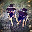 Photo #12: SARGE'S DOG TRAINING & REHABILITATION