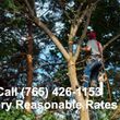 Photo #1: 🔰Tree Care Services (20% Off Special) Most Affordable Rates in