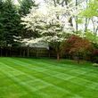 Photo #3: Complete Lawncare Service