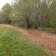 Photo #3: Land Clearing, L.C.S. Skidsteer mulching services