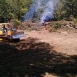 Photo #10: Land Clearing, L.C.S. Skidsteer mulching services