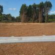 Photo #19: Land Clearing, L.C.S. Skidsteer mulching services