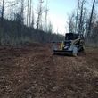 Photo #23: Land Clearing, L.C.S. Skidsteer mulching services