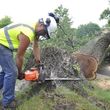 Photo #3: STORM CLEAN UP , EMERGENCY TREE REMOVAL , TREE CLEAN UP , CREEK CLEAN UP