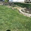 Photo #7: Roger's landscaping stump grinding and tree service (insured )