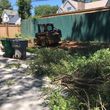 Photo #14: Roger's landscaping stump grinding and tree service (insured )