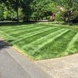 Photo #12: Gabriel lawn and landscaping service
