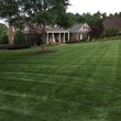 Photo #16: Gabriel lawn and landscaping service