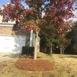 Photo #6: Lawn Maintenance/Yard Clean-up