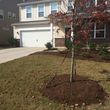Photo #7: Lawn Maintenance/Yard Clean-up