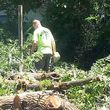 Photo #6: Tree Service / Tree Trimming An Removel ( All Seasones Tree Service )