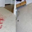 Photo #9: FREE Pet & Odor Stain with 3 room & hall Steam Carpet Cleaning $79