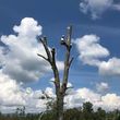 Photo #1: Hurricane storm/tree removal