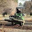 Photo #6: Advance Tree Service... DOWN TREES AND LIMBS