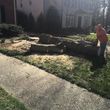 Photo #6: My Crew Tree Service(Free estimate)