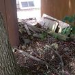 Photo #8: Stump Grinding, Wood Splitting, Fence Cleaning