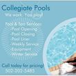 Photo #1: Collegiate Pools (pool and spa services)