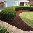 Photo #1: David Cruz lawn&landscaping