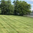 Photo #7: David Cruz lawn&landscaping