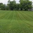 Photo #9: David Cruz lawn&landscaping