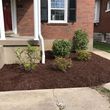 Photo #15: David Cruz lawn&landscaping