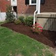 Photo #16: David Cruz lawn&landscaping