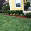 Photo #20: David Cruz lawn&landscaping