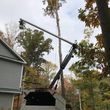 Photo #1: USA TREE SERVICES LLC