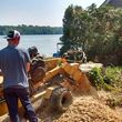 Photo #7: STORM CLEANUP-Tree & Stump Removal